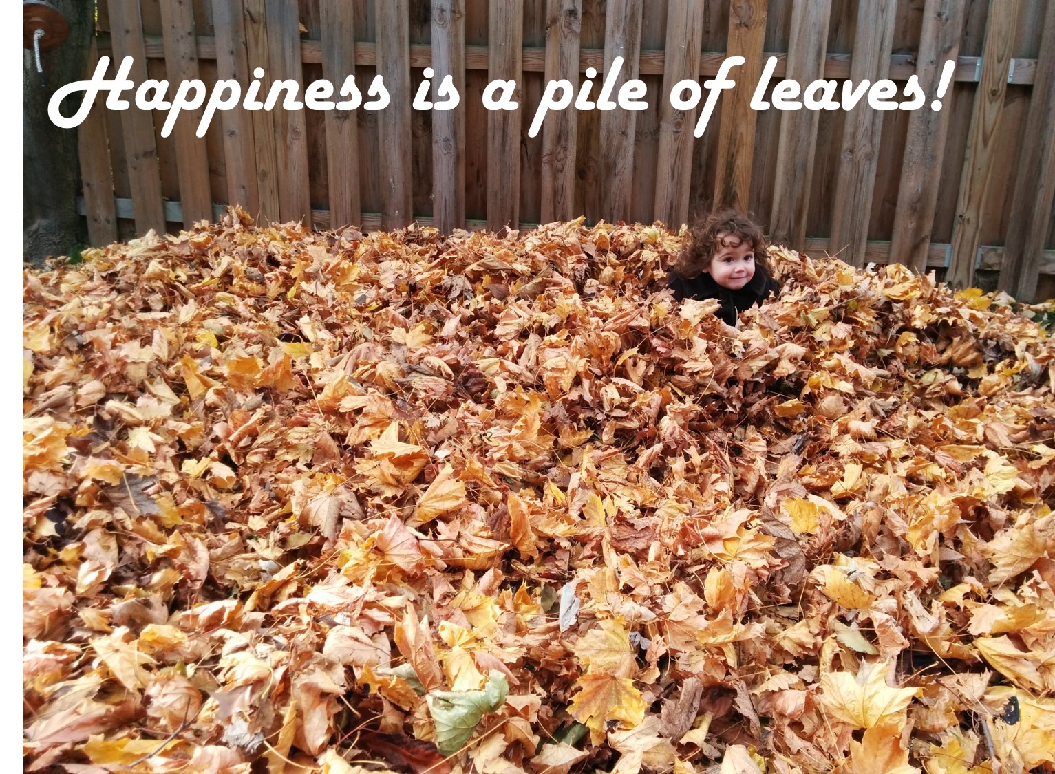 happiness-is-a-pile-of-leaves