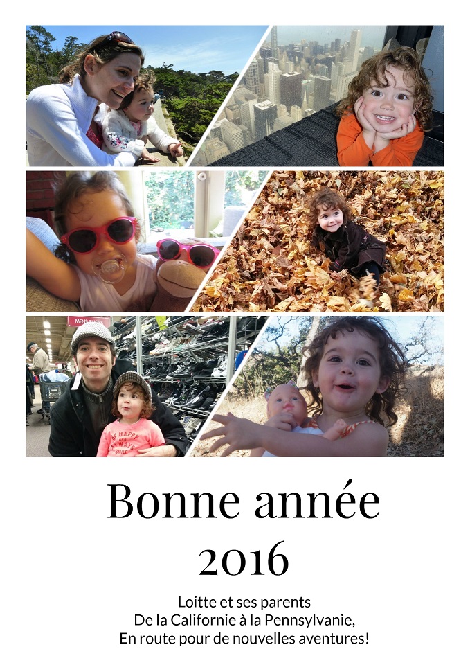 bonne-annee-2016-4